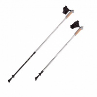 палки для скандинавской ходьбы rgx 2-секционные 85-135 см nws-13 серебряный/черный